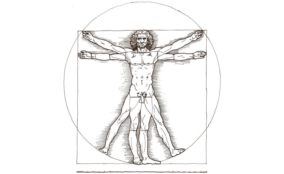 Рисунок человек витрувианский человек